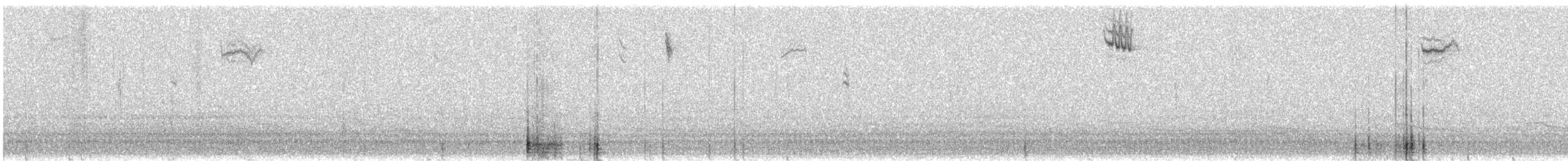 Henslow's Sparrow - ML646216384