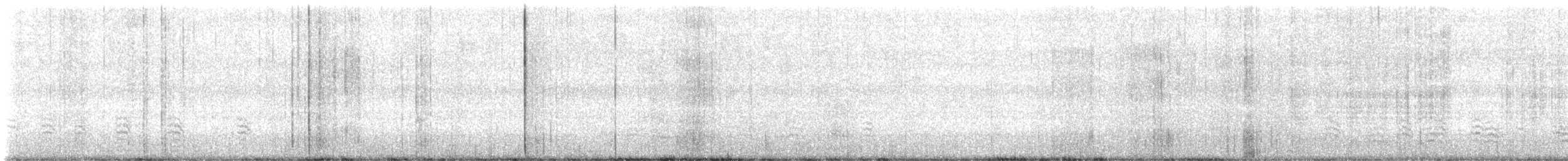 Sittelle à poitrine blanche - ML646216650