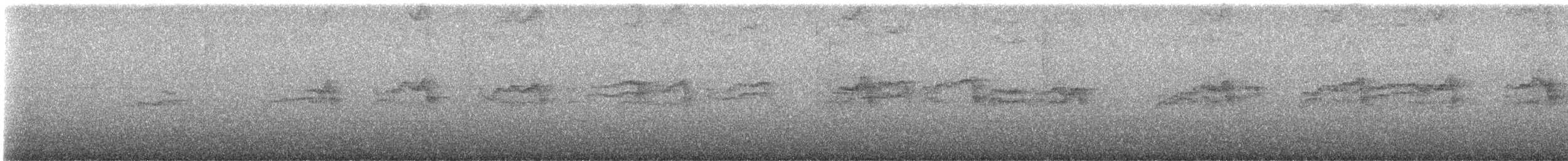 Kaya Güvercini (evcil tip) - ML646217238