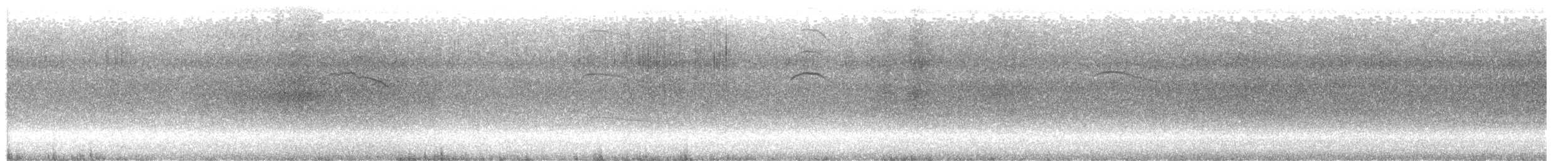 アルゼンチンカモメ - ML646217297