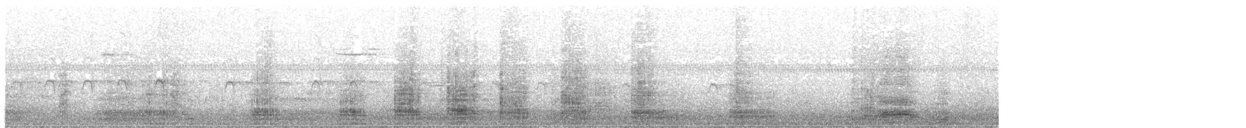 Koartza zuria - ML646217719