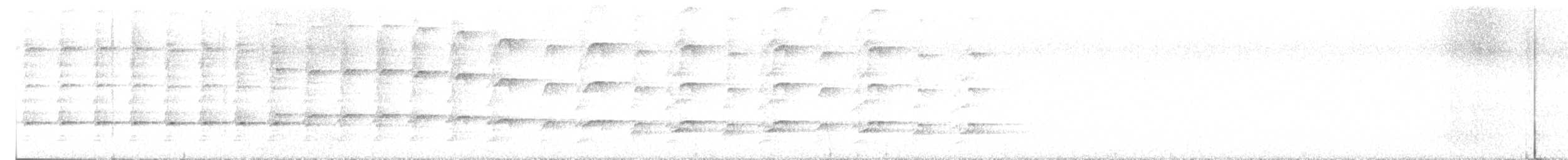 Indian Thick-knee - ML646217999