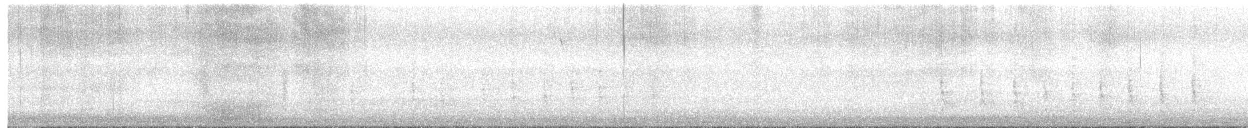 Red-bellied Woodpecker - ML646218514