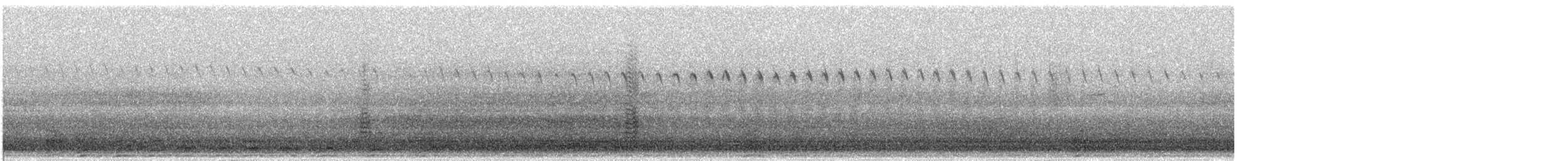 duck sp. - ML646218684