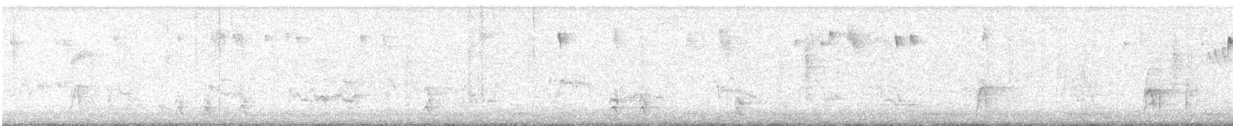 Brown Creeper - ML646218808