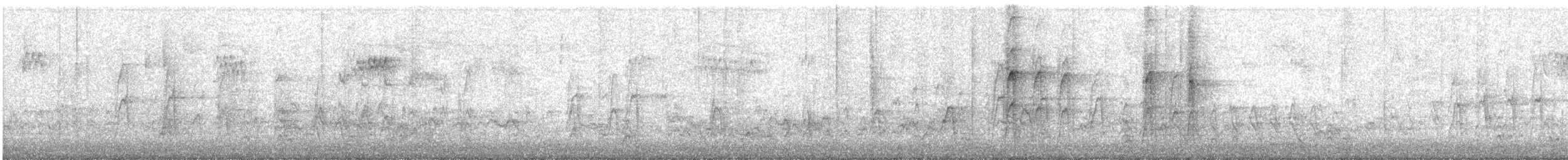 Merle d'Amérique - ML646218818