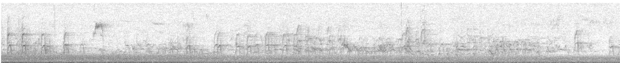 Merle d'Amérique - ML646218960