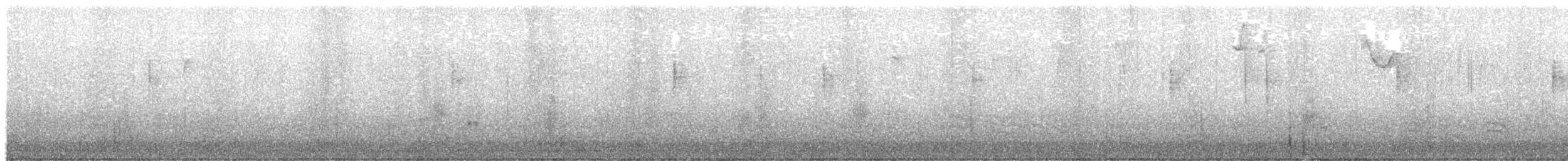 MacGillivray's Warbler - ML646218976