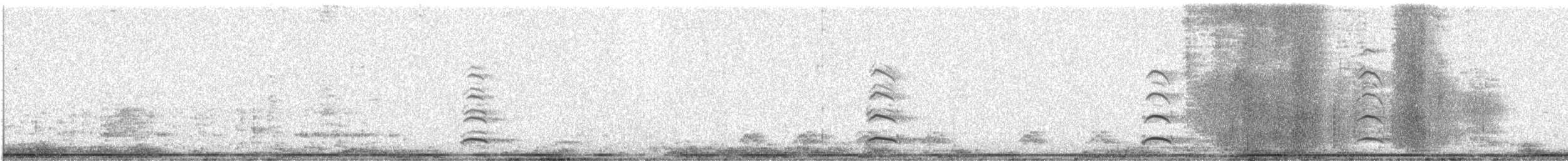 Short-billed Gull - ML646219132