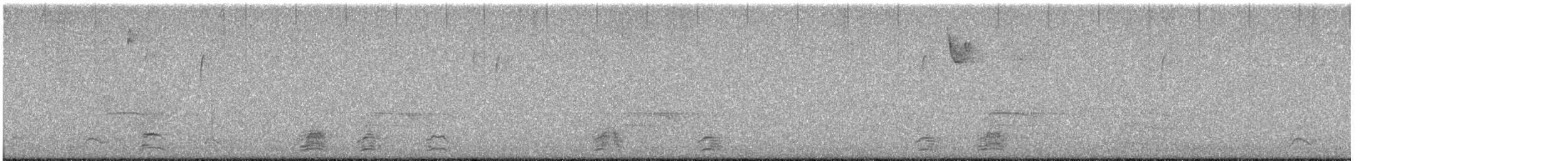 Snow Goose - ML646219163