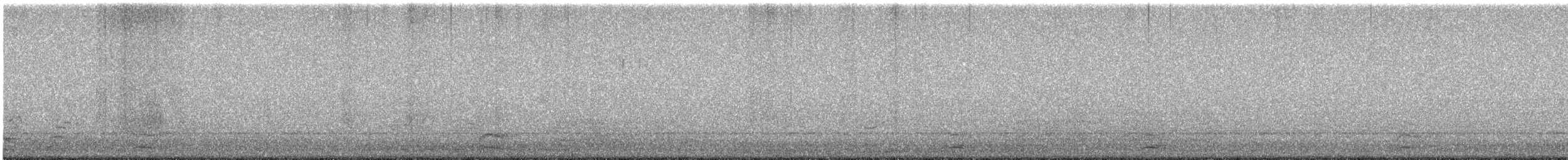 Snow Goose - ML646219344