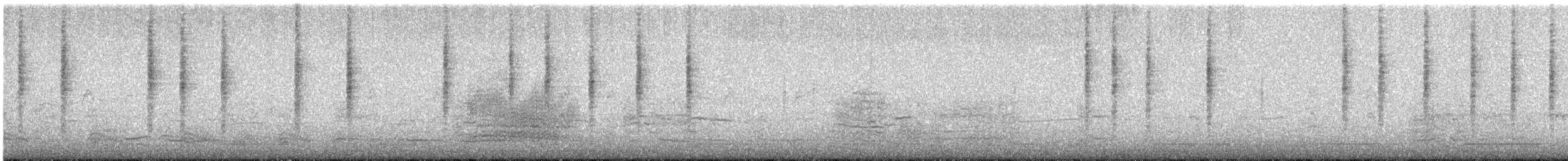 Marsh Wren (paludicola Group) - ML646219384