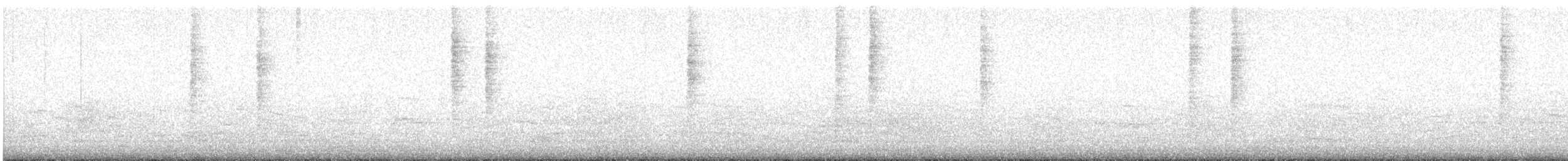 Marsh Wren (paludicola Group) - ML646219479