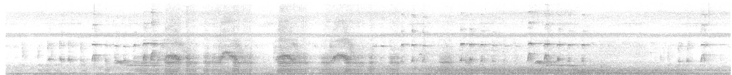 Radjah Shelduck - ML646219567