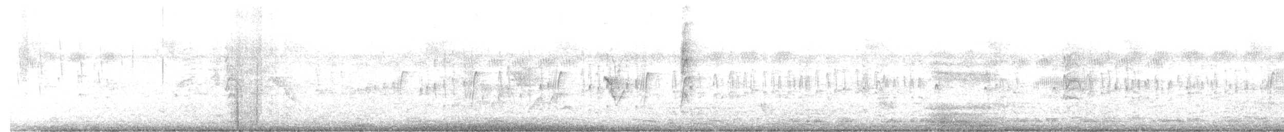 Pale-headed Jacamar - ML646220843