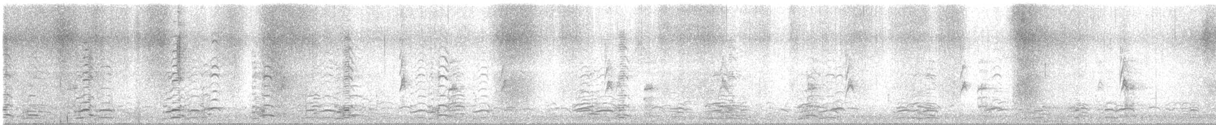 小加拿大雁 - ML646221278