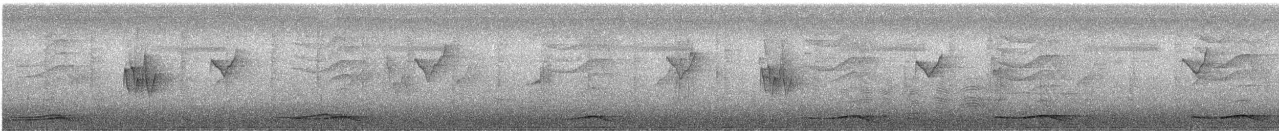 Two-barred Warbler - ML646221522