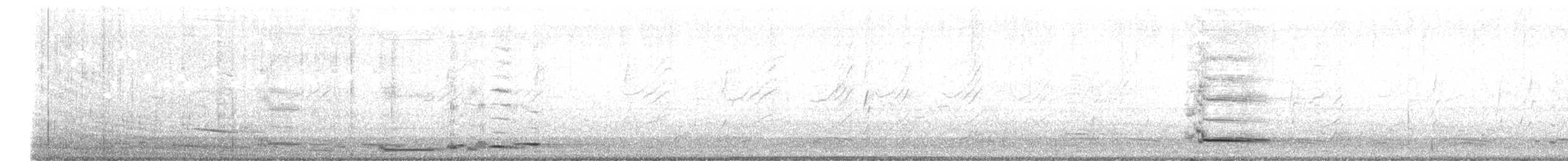 Australian Magpie (Black-backed) - ML646221633