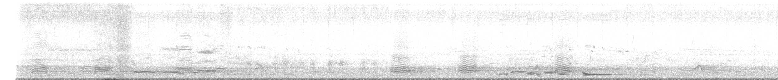 Australian Magpie (Black-backed) - ML646221635