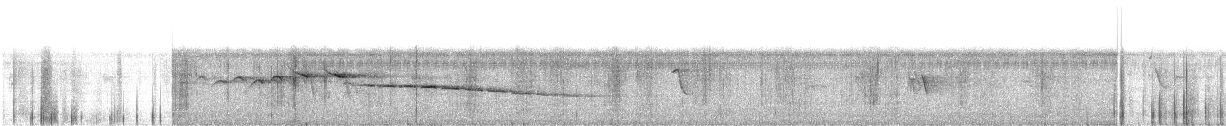 Morelet's Seedeater - ML646221646