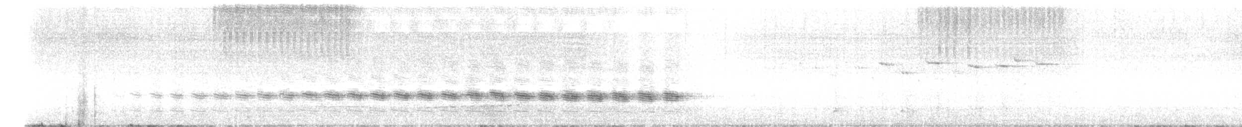 Sahul Cicadabird - ML646221786