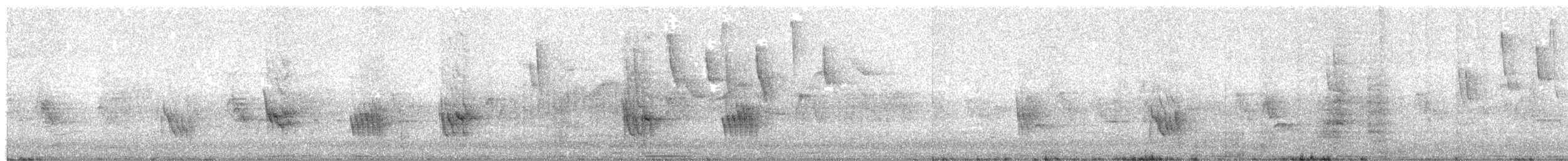 gråbrystsvale - ML646222084