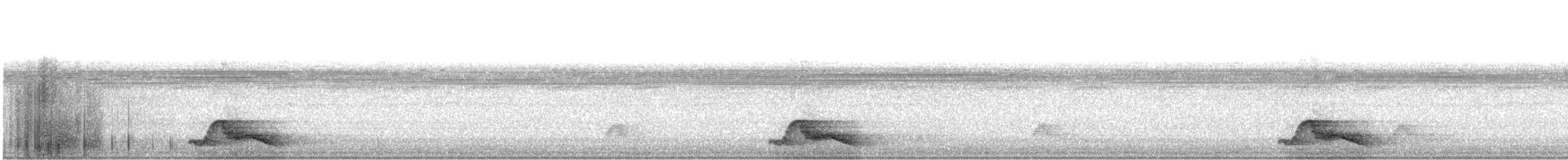 Common Pauraque - ML646222161