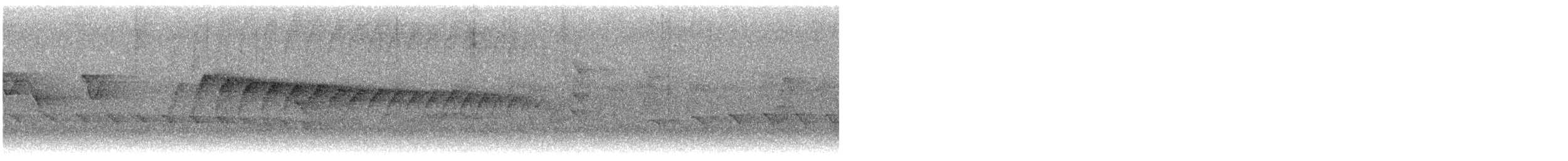 White-browed Gnatcatcher - ML646222186