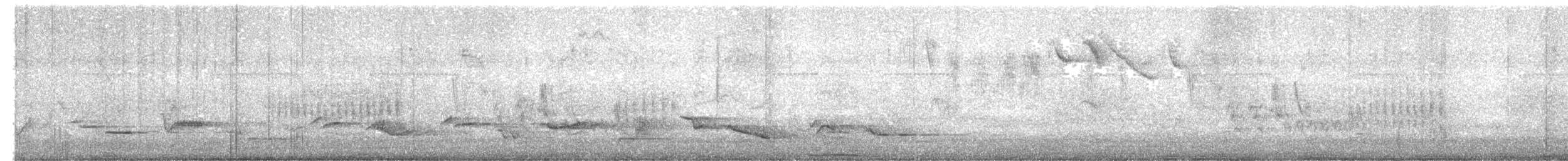 Rufous-bellied Thrush - ML646222207