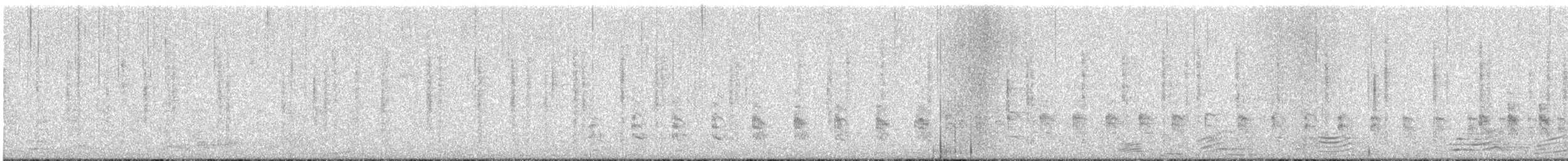 Clapper Rail - ML646222819