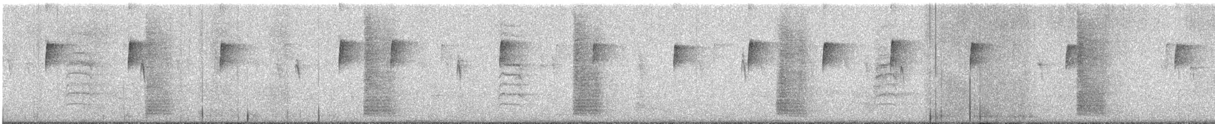 Kuitlakotxe gorrizta - ML646222831