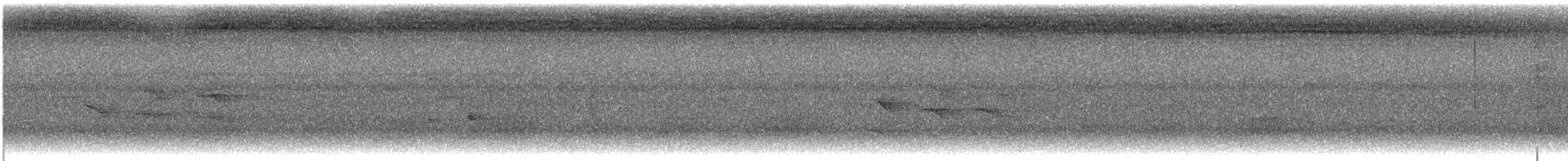 White-flanked Antwren - ML646222872