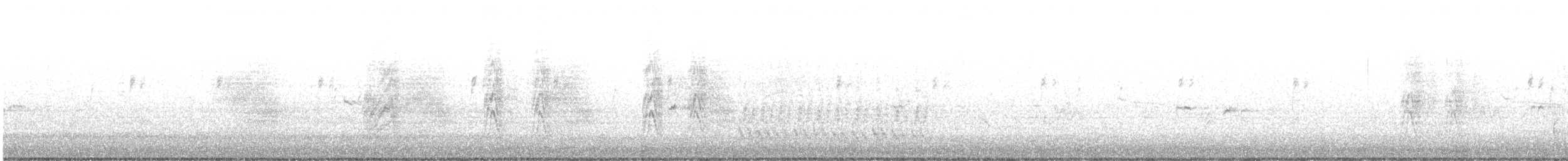 Woodhouse's Scrub-Jay (Woodhouse's) - ML646222880