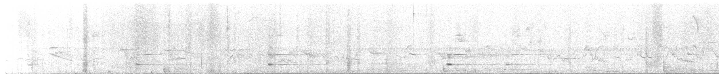 Large-tailed Antshrike - ML646223444