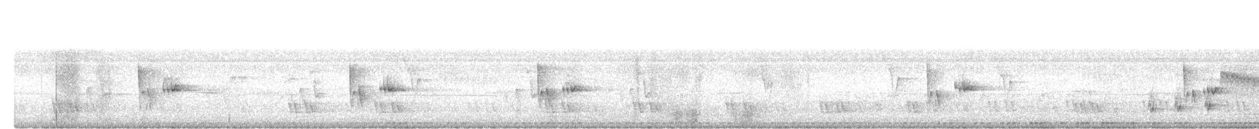 Ashy Tailorbird - ML646223688