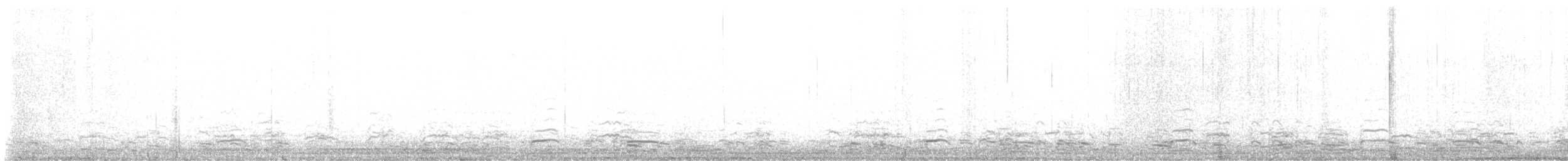 Snow Goose - ML646223815