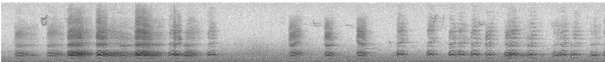 American Crow - ML646223847