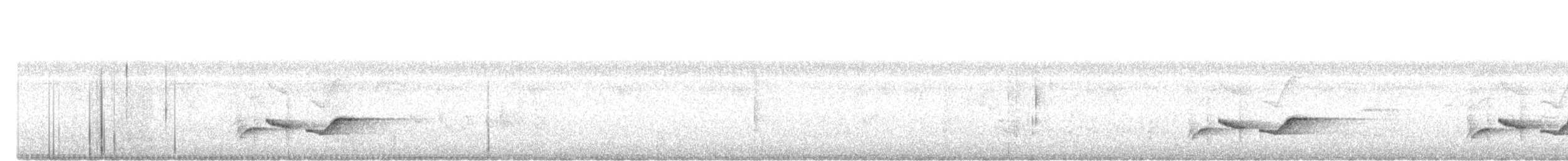 White-chested Babbler - ML646223854