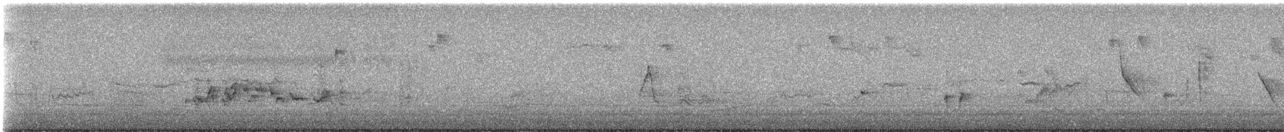 hýl nachový (ssp. purpureus) - ML646224266