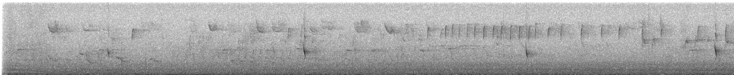 drozd stěhovavý [skupina migratorius] - ML646224321