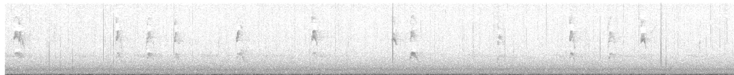 strakapoud kokardový - ML646224389