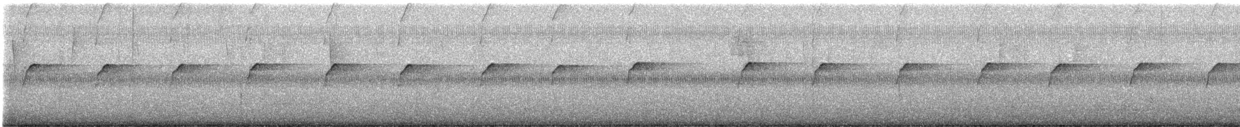 Solitary Sandpiper (solitaria) - ML646224837