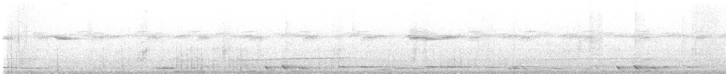 Black Butcherbird - ML646225350