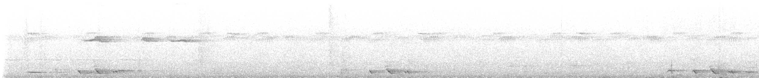 Black Butcherbird - ML646225351