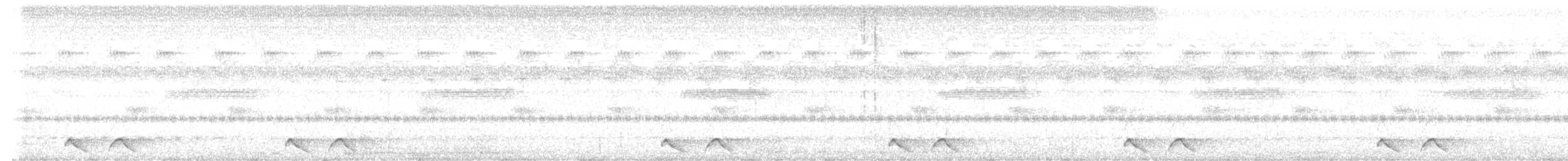 ゴマフヨタカ - ML646225468