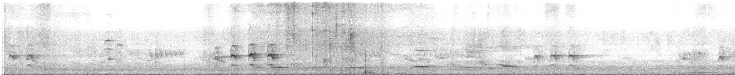 Sacred Kingfisher (Australasian) - ML646225551