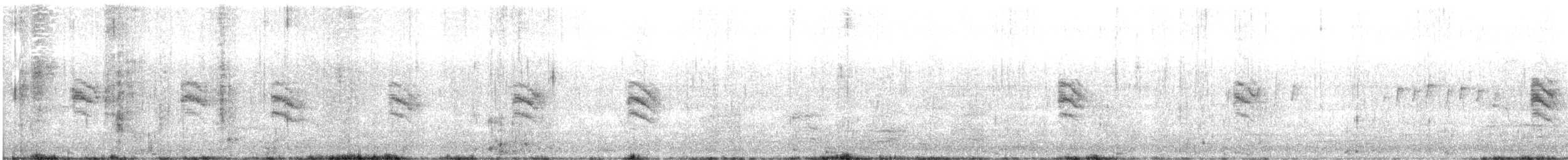 Lewin's Rail - ML646225597