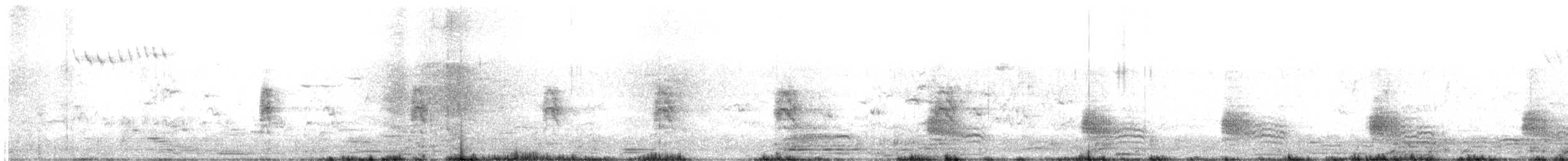 Lewin's Rail - ML646225598