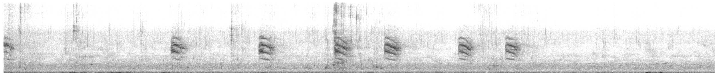 Lewin's Rail - ML646225599