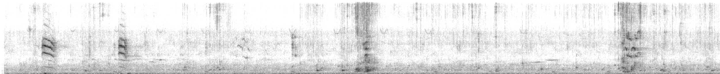 Lewin's Rail - ML646225600